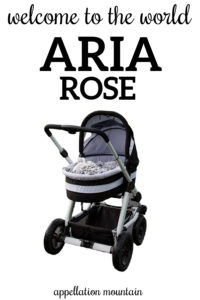 Welcome Aria Rose