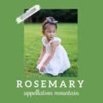 Baby Name Rosemary: Quiet Revival