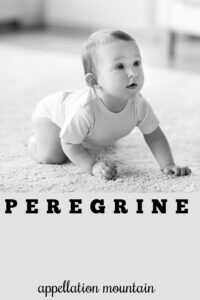 baby name Peregrine