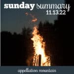 Sunday Summary 11.13.22