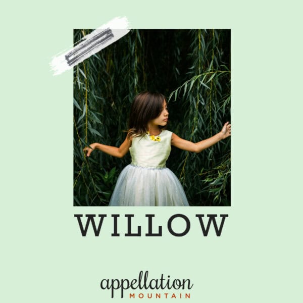girl child in white dress with dark hair in a dark forest; baby name Willow