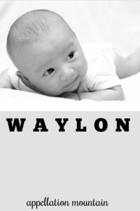baby name Waylon