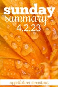 Sunday Summary 4.2.23