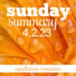 Sunday Summary 4.2.23