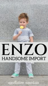 baby name Enzo