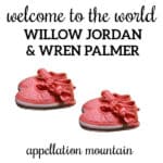 Name Help: Welcome Willow Jordan and Wren Palmer