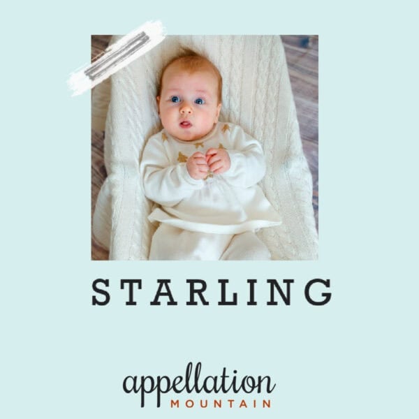 baby name Starling