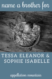 Name Help: A Brother for Tessa and Sophie