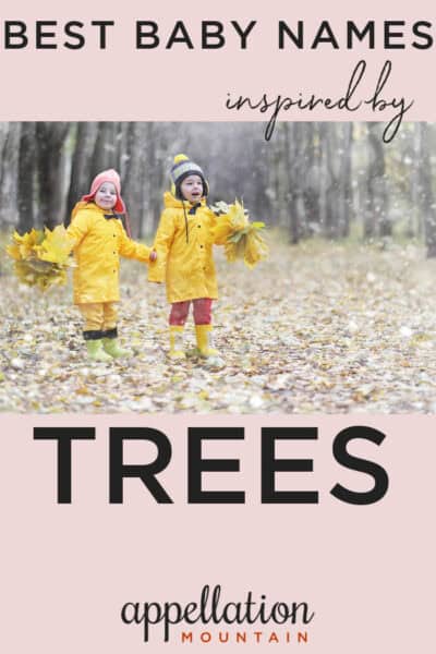 Strong Baby Names Inspired by Trees: Arbor, Rowan, Acacia - Appellation ...