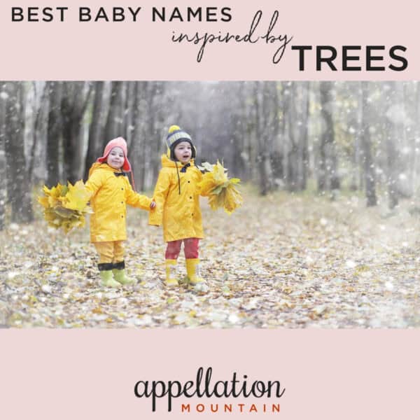 two children in yellow raincoats, boots, and hats, holding yellow leaves, standing in forest "best baby names inspired by trees"