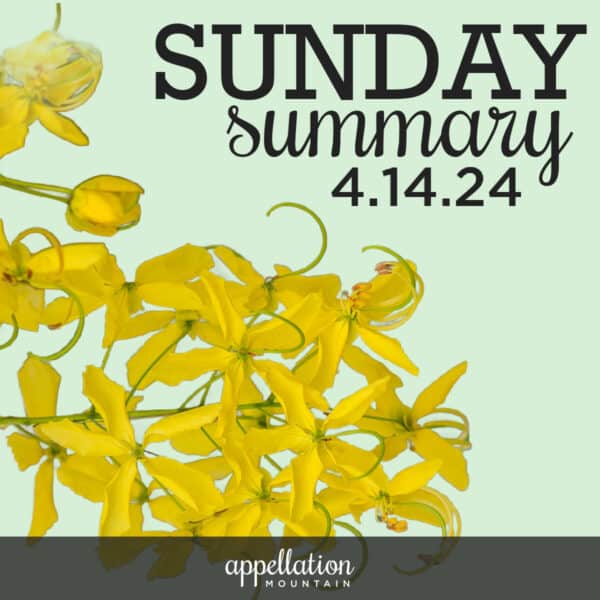 Sunday Summary 4.14.24