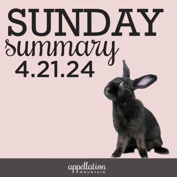 Sunday Summary 4.21.24