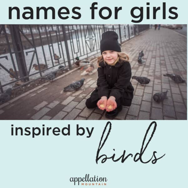 bird names for girls