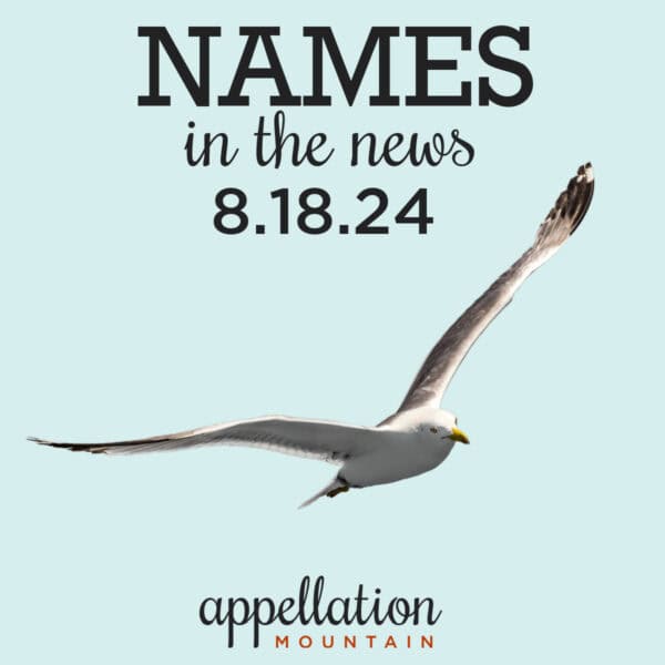 names in the news 8.18.24