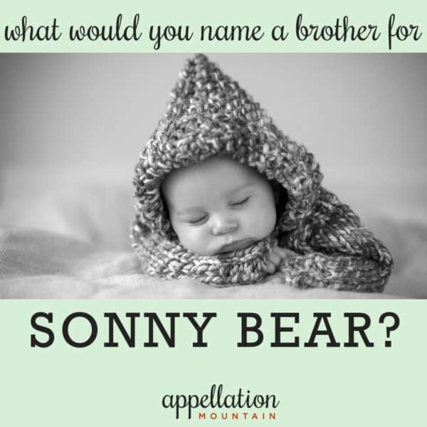 brother for Sonny Bear