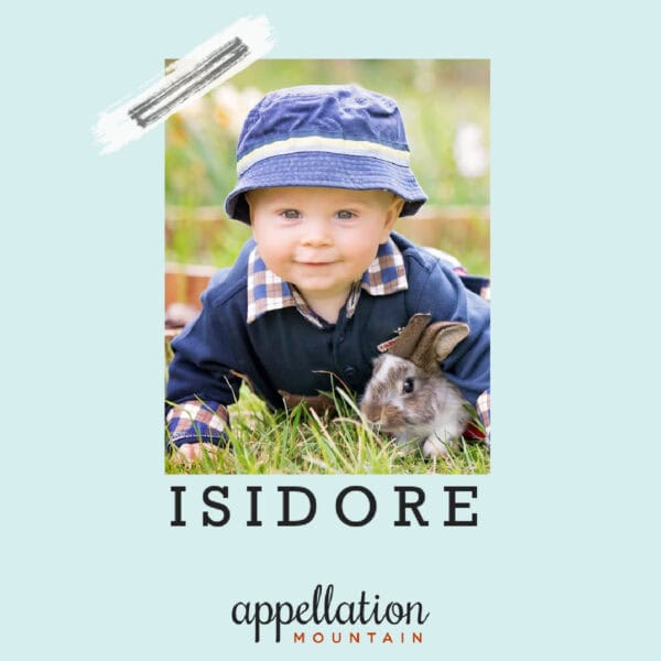 boy baby in navy blue bucket hat wearing blue sweater over plaid shirt in field; text reads "Isidore"