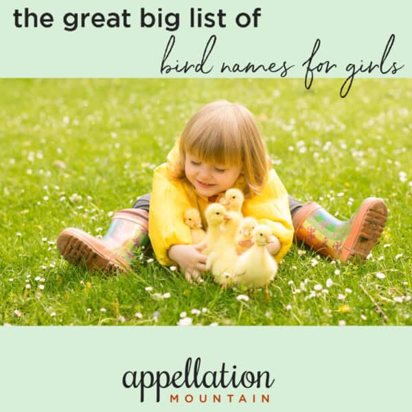young girl in yellow rain jacket and boots sitting on grass with baby ducks between her arms; "bird names for girls"