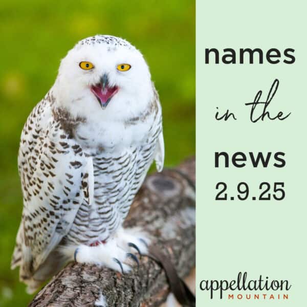 names in the news 2.9.25