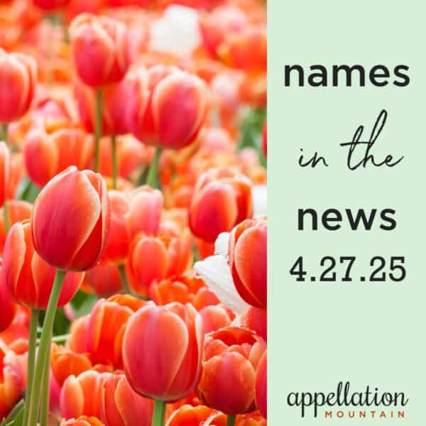 field of orange tulips; Baby Names in News 4.27.25
