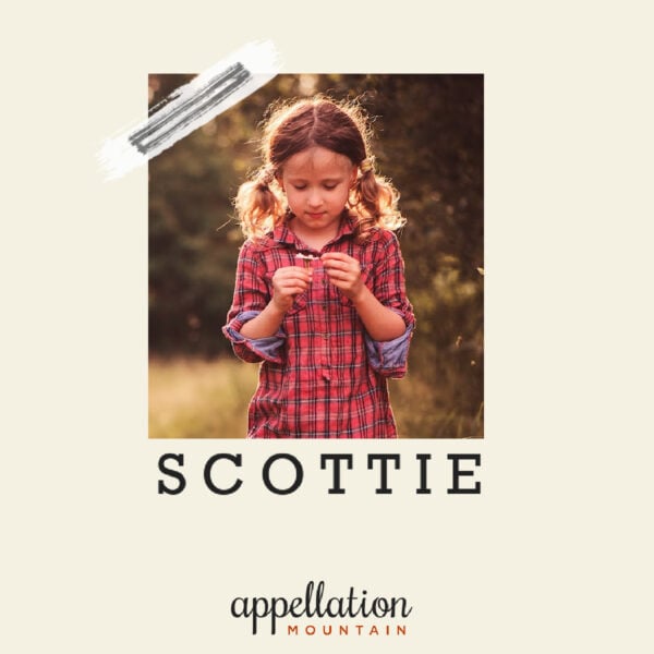 brown haired girl with two ponytails wearing red plaid dress standing outside with flowers "baby name Scottie"