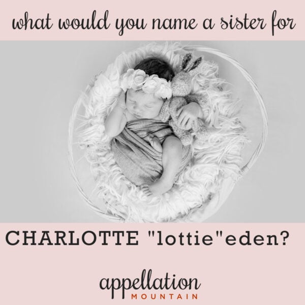 photo of baby girl wearing floral headband wrapped in blanket lying in basket; "What would you name a sister for Charlotte Eden?"