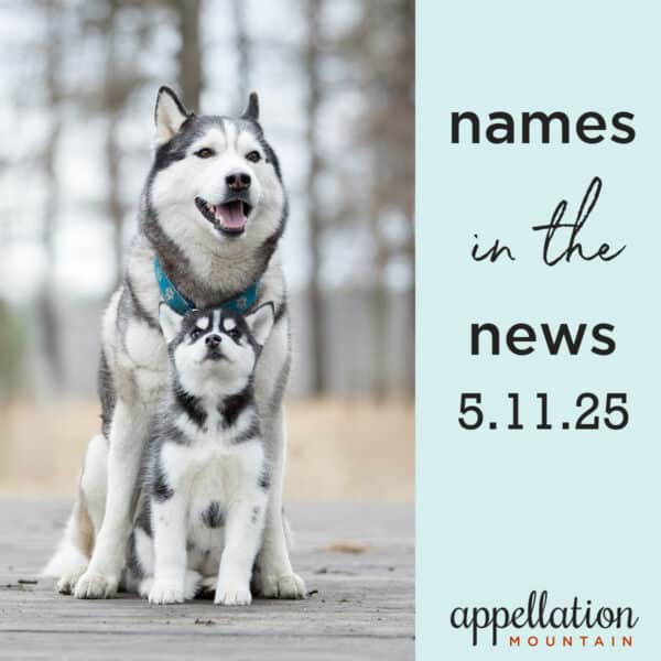 mother husky dog with baby husky in woods; "baby name news 5.11.25"
