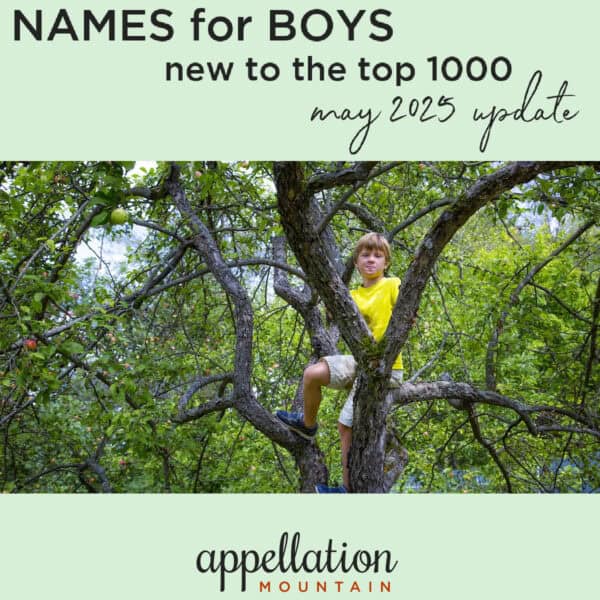 boy wearing yellow tee shirt sitting high up in tree limbs; "new boy names May 2025 update"