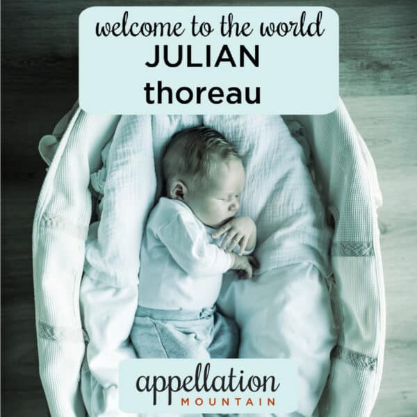 baby boy sleeping in basket; welcome Julian Thoreau