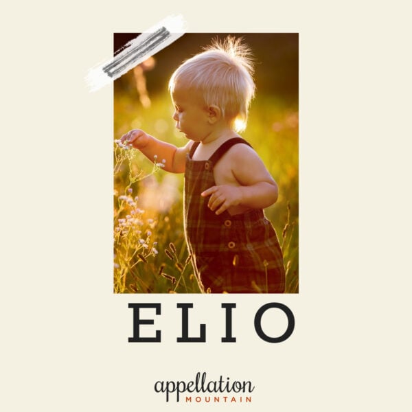 blonde baby boy wearing overalls in sunny field; baby name Elio