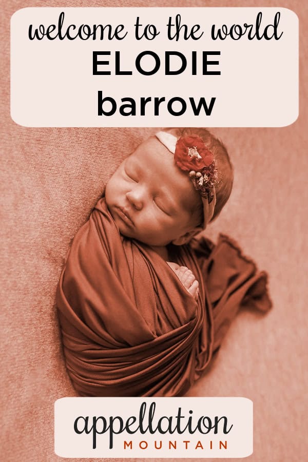 sleeping baby girl wrapped in blanket with floral headband; welcome Elodie Barrow