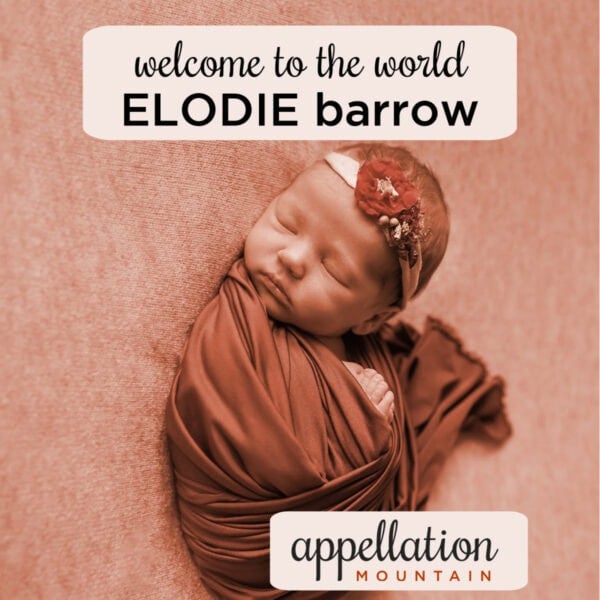 sleeping baby girl wrapped in blanket with floral headband; welcome Elodie Barrow