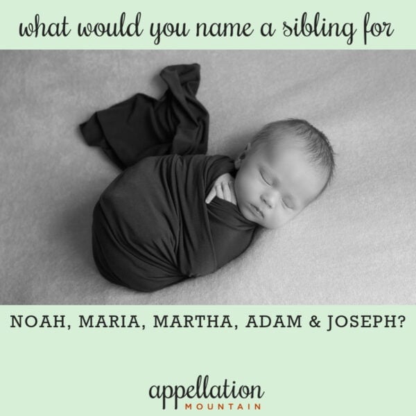 newborn baby wrapped in dark blanket "name a sibling for Noah, Maria, Martha, Adam, and Joseph"