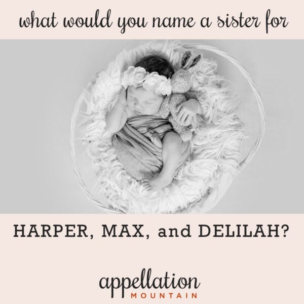 baby girl wrapped in blanket in basket with floral headband and stuffed rabbit; "name a sister for Harper, Max, and Delilah"