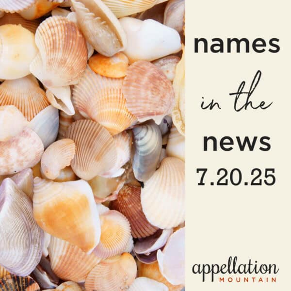 pile of seashells; baby names news 7.20.25