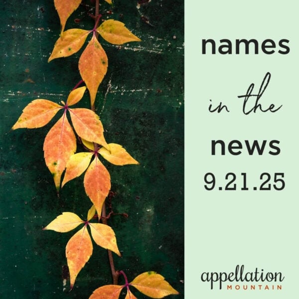 yellow-orange leaves on dark green painted background; names in the news 9.21.25