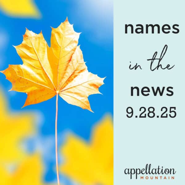 golden leaves against a blue sky; names in the news 9.28.25