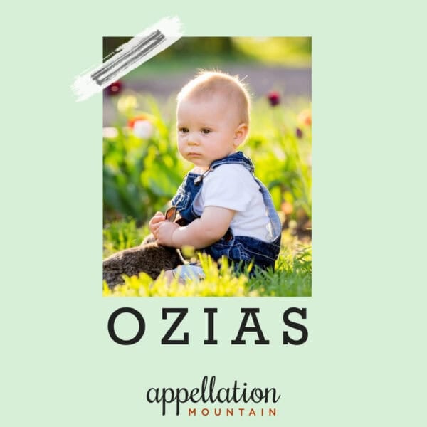 blonde baby boy wearing white tee and denim overalls sitting in sunny field of flowers and grass; baby name Ozias