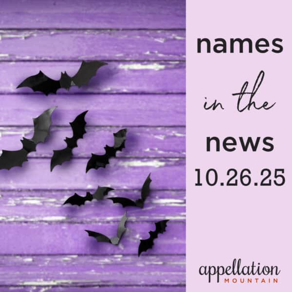 black decorative bats against purple wood painted wall; names in the news 10.26.25