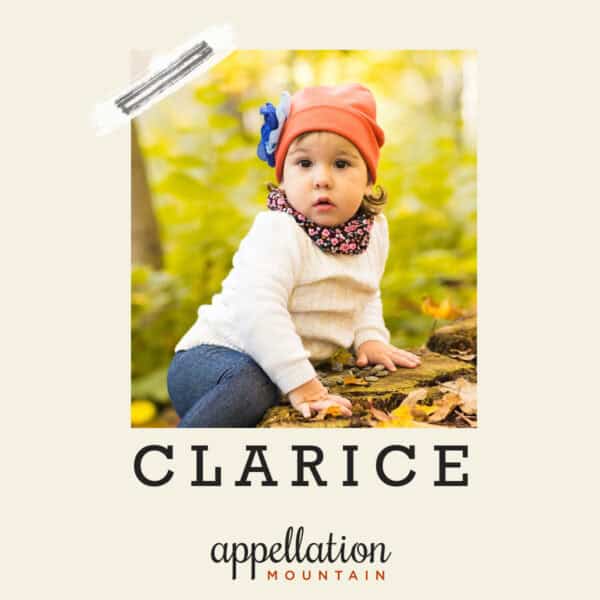 toddler girl wearing cream sweater and pink knit hat sitting on leaves outdoors; baby name Clarice