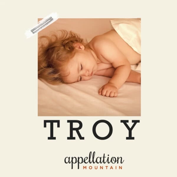 sleeping baby boy with dark blonde curls under a light yellow blanket; baby name Troy