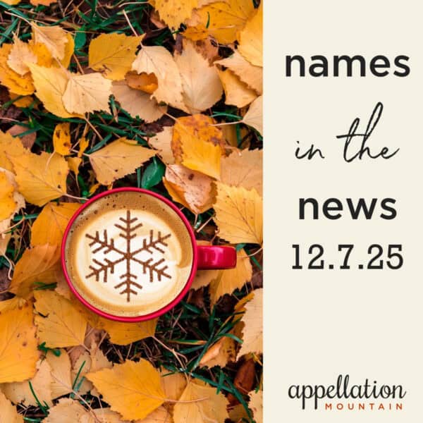 golden fall leaves surrounding a mug with a snowflake design in the coffee foam; Names in the News 12.7.25