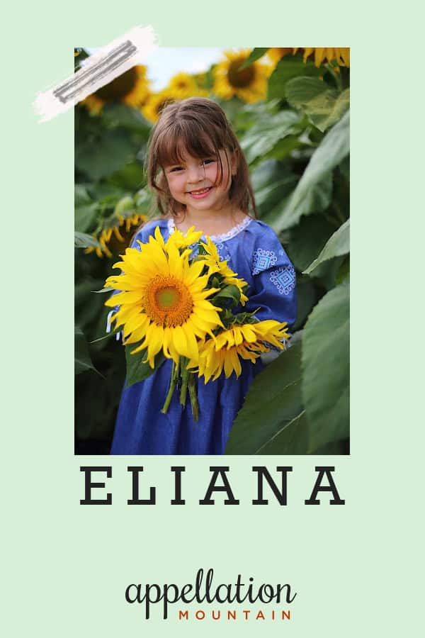 girl child with shoulder length brown hair wearing blue dress holding large sunflower in field; baby name Eliana