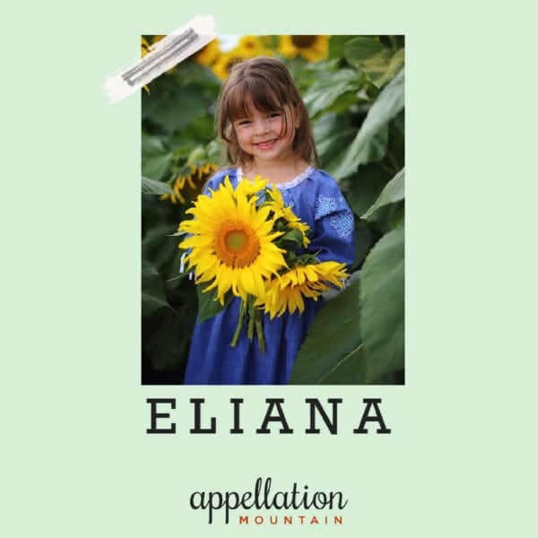 girl child with shoulder length brown hair wearing blue dress holding large sunflower in field; baby name Eliana