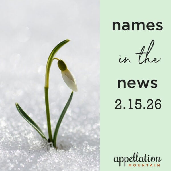 green shoot pushing through snow covered ground; names in the news 2.15.26