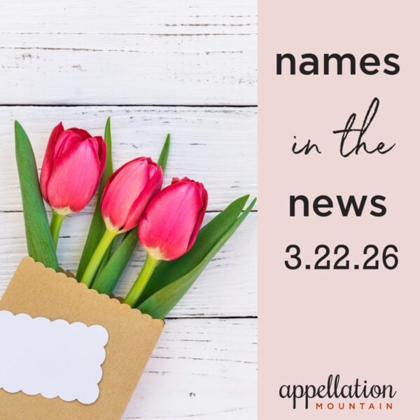 bright pink tulips wrapped in brown paper; names in the news 3.22.26