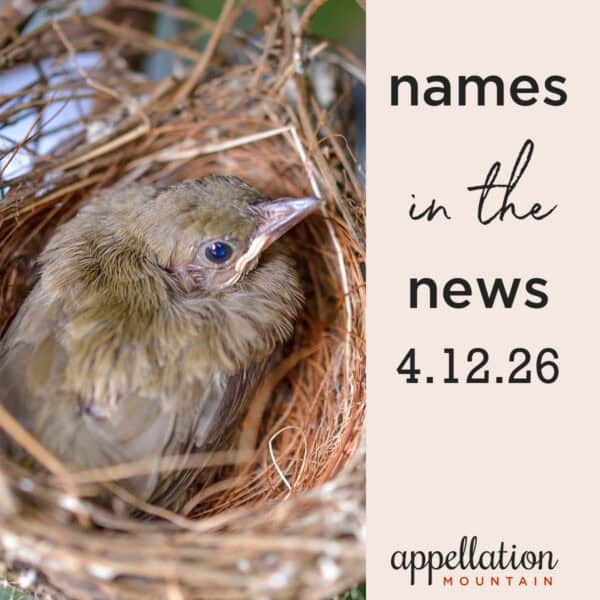 baby bird in a nest; baby names in the news 4.12.26
