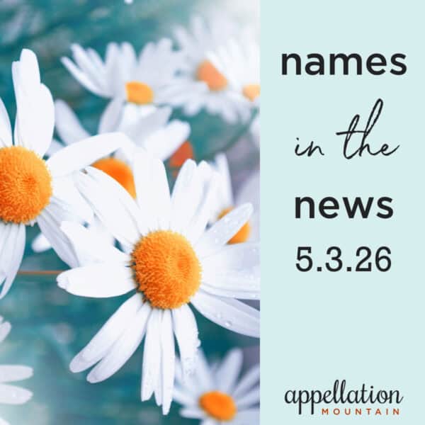 daisies on blue background; names in the news 5.3.26