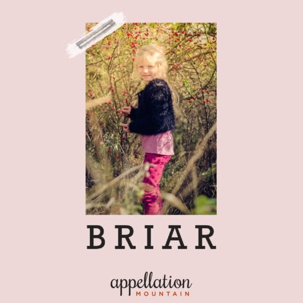 blonde girl child wearing pink tights and dark sweater outside in field; baby name Briar