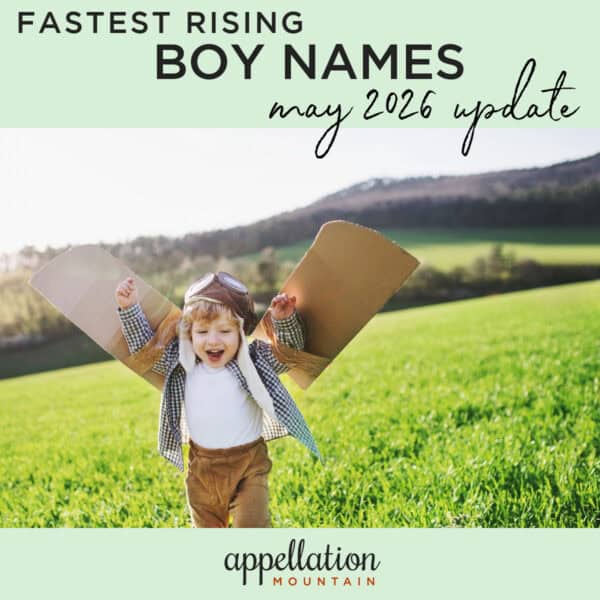 toddler boy wearing cardboard wings and old-fashioned aviator helmet outside in field; fastest rising boy names 2026