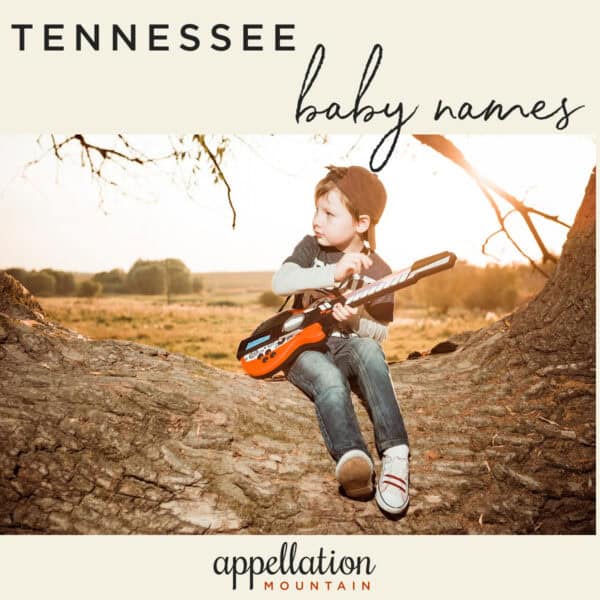 boy child wearing jeans, sneakers, and backward baseball cap sitting on log in field; Tennessee baby names